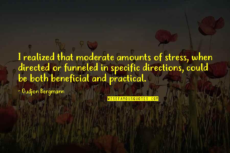 Moderate Quotes By Gudjon Bergmann: I realized that moderate amounts of stress, when Moderate Quotes By Gudjon Bergmann: I realized that moderate amounts of stress, when