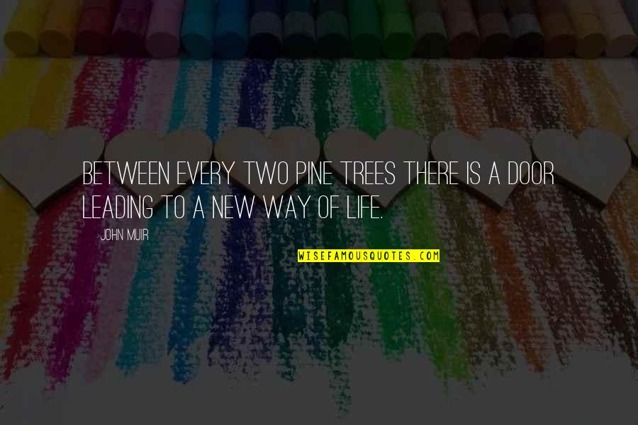 Modern Day Boaz Quotes By John Muir: Between every two pine trees there is a