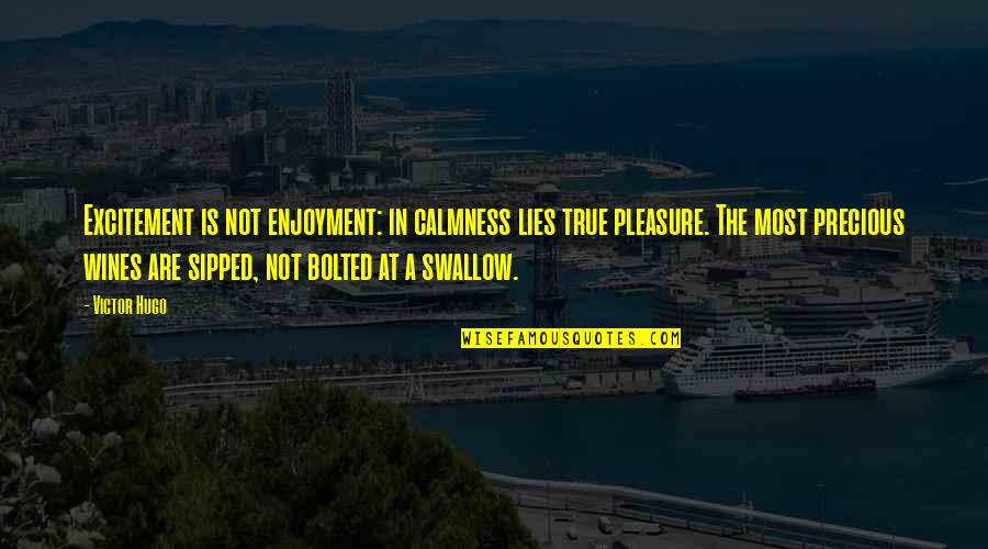 Modern Day Book Quotes By Victor Hugo: Excitement is not enjoyment: in calmness lies true Modern Day Book Quotes By Victor Hugo: Excitement is not enjoyment: in calmness lies true