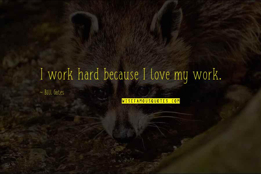 Moderns Quotes By Bill Gates: I work hard because I love my work.