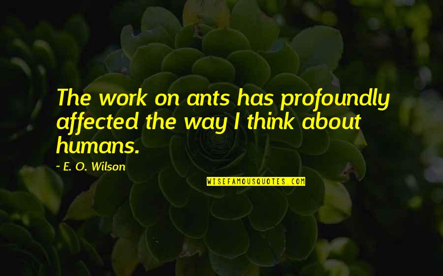 Modesties Auto Quotes By E. O. Wilson: The work on ants has profoundly affected the