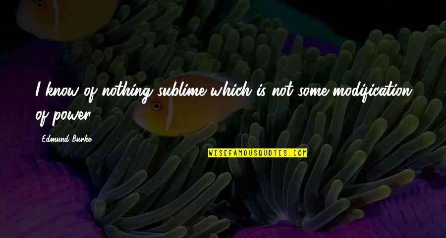 Modification Quotes By Edmund Burke: I know of nothing sublime which is not