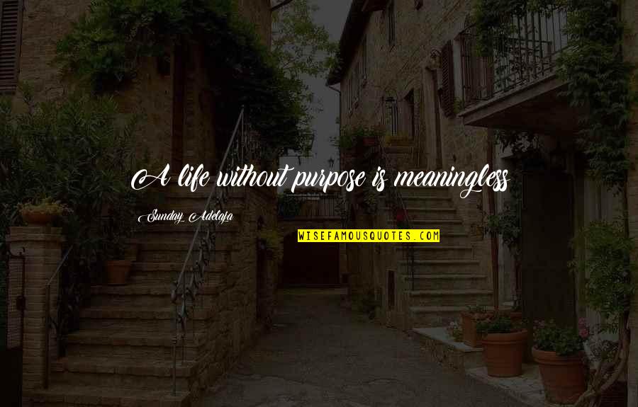 Modiste Alterations Quotes By Sunday Adelaja: A life without purpose is meaningless