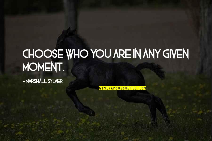 Modulation Of Pain Quotes By Marshall Sylver: Choose who you are in any given moment.