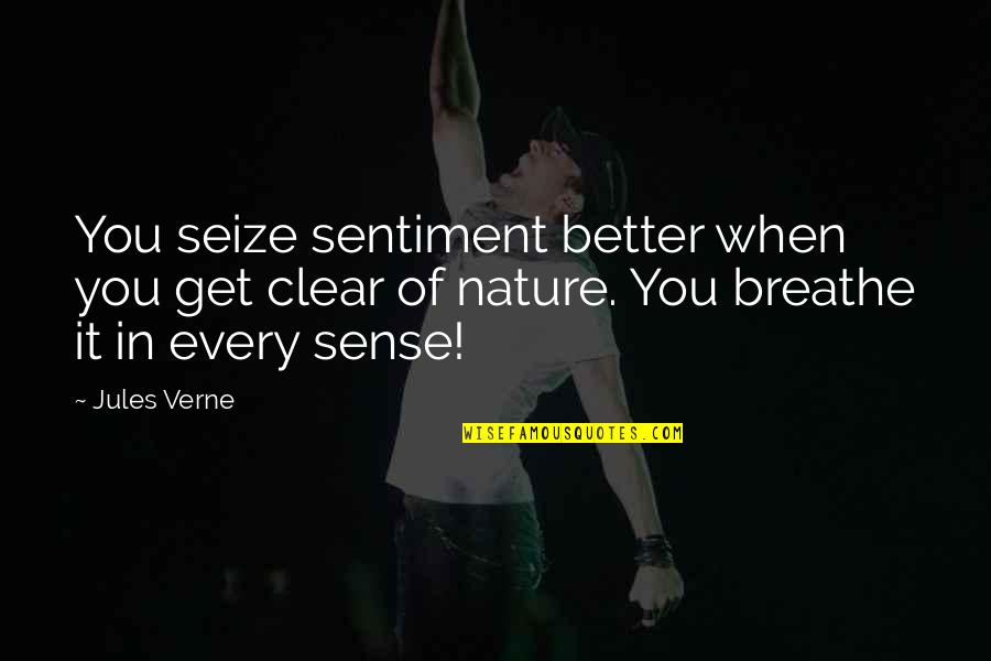 Moe Howard Quotes By Jules Verne: You seize sentiment better when you get clear