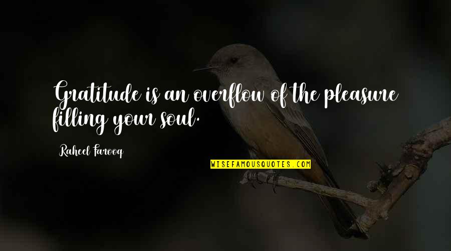 Moeder Zoon Liefde Quotes By Raheel Farooq: Gratitude is an overflow of the pleasure filling