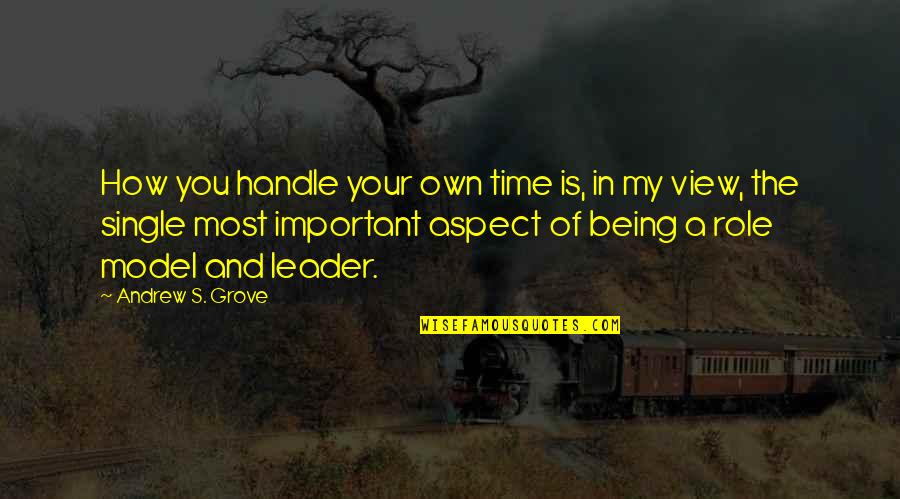 Moeniralam Quotes By Andrew S. Grove: How you handle your own time is, in