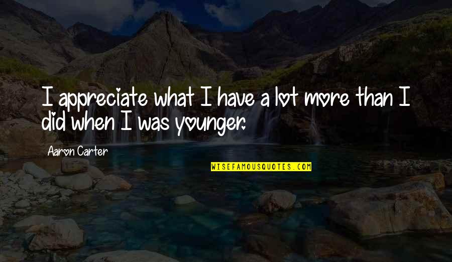 Moerman Excelerator Quotes By Aaron Carter: I appreciate what I have a lot more