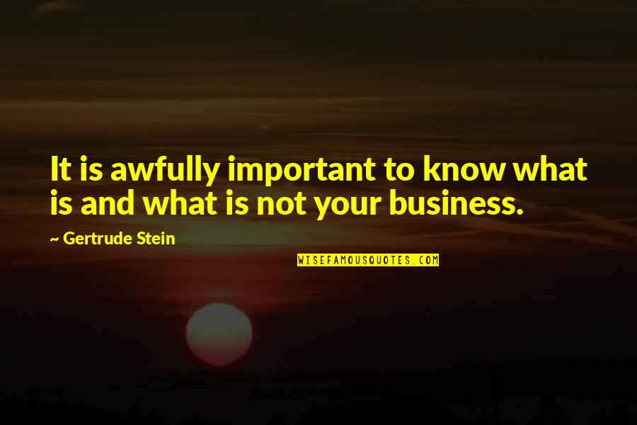 Mogelijkheden En Quotes By Gertrude Stein: It is awfully important to know what is
