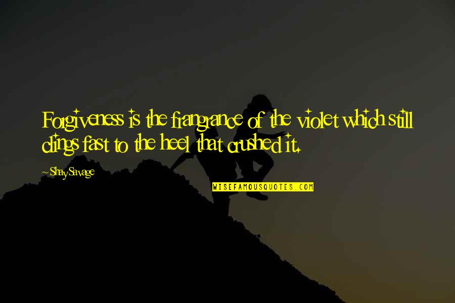 Mogomotsi Morapedi Quotes By Shay Savage: Forgiveness is the frangrance of the violet which Mogomotsi Morapedi Quotes By Shay Savage: Forgiveness is the frangrance of the violet which