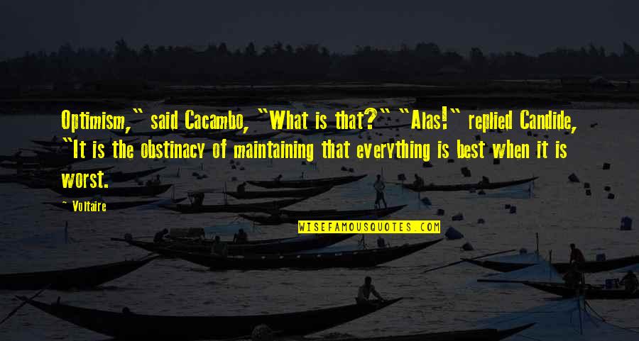 Mohabbat Hai Quotes By Voltaire: Optimism," said Cacambo, "What is that?" "Alas!" replied