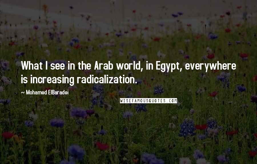 Mohamed ElBaradei quotes: What I see in the Arab world, in Egypt, everywhere is increasing radicalization.