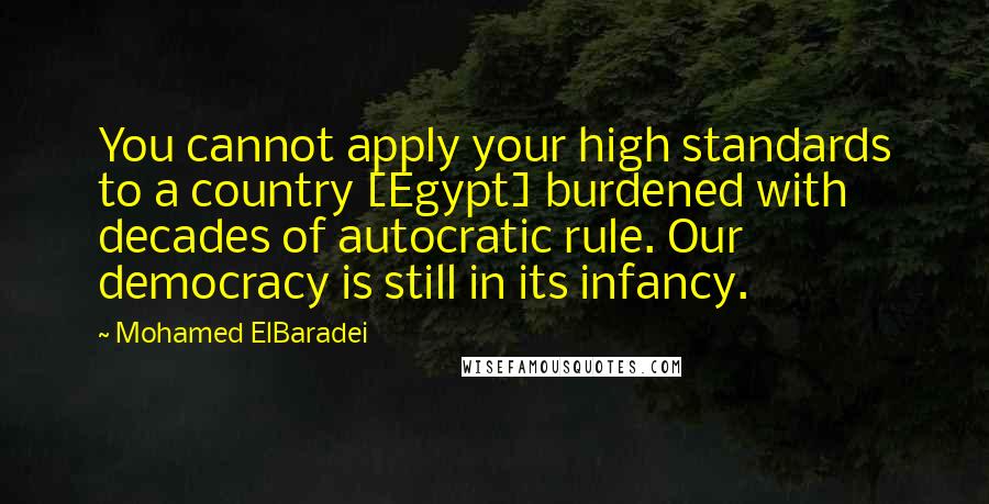 Mohamed ElBaradei quotes: You cannot apply your high standards to a country [Egypt] burdened with decades of autocratic rule. Our democracy is still in its infancy.