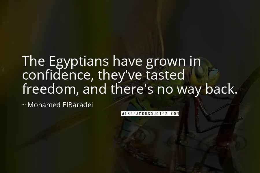 Mohamed ElBaradei quotes: The Egyptians have grown in confidence, they've tasted freedom, and there's no way back.