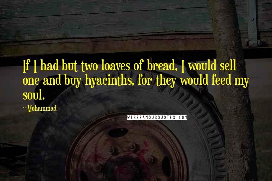 Mohammad quotes: If I had but two loaves of bread, I would sell one and buy hyacinths, for they would feed my soul.