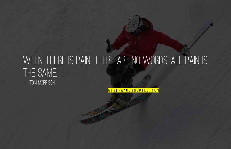 Mohammed Bin Rashid Leadership Quotes By Toni Morrison: When there is pain, there are no words. Mohammed Bin Rashid Leadership Quotes By Toni Morrison: When there is pain, there are no words.