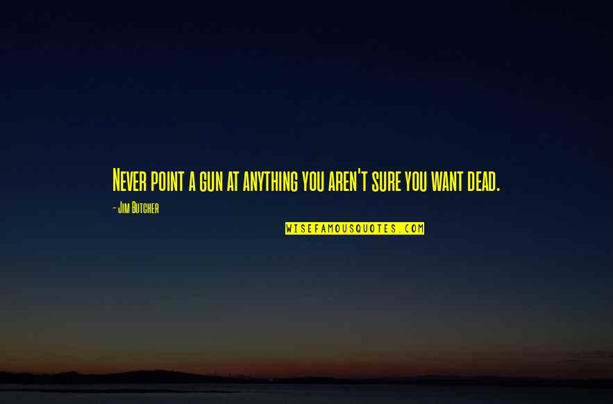 Mohanraj Mahendravarman Quotes By Jim Butcher: Never point a gun at anything you aren't