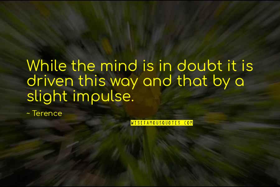 Mohd Ridhwan Quotes By Terence: While the mind is in doubt it is