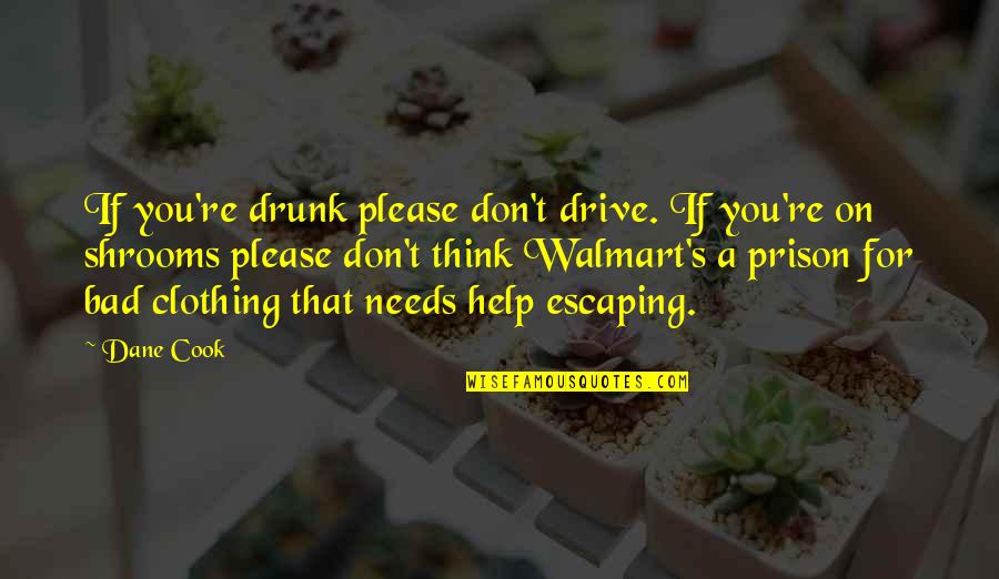 Mohlin Beer Quotes By Dane Cook: If you're drunk please don't drive. If you're