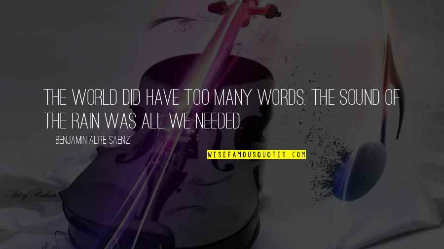Moholy Nagy Quotes By Benjamin Alire Saenz: The world did have too many words. The