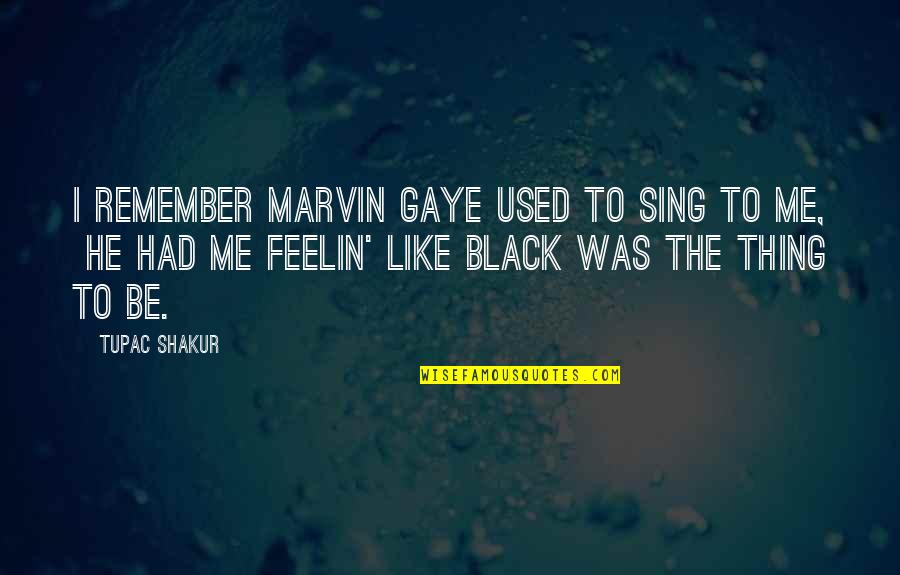 Mohssine Tv Quotes By Tupac Shakur: I remember Marvin Gaye used to sing to