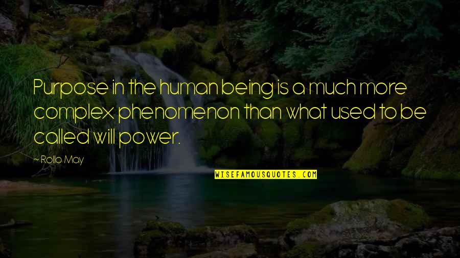 Moinesti Bucuresti Quotes By Rollo May: Purpose in the human being is a much Moinesti Bucuresti Quotes By Rollo May: Purpose in the human being is a much