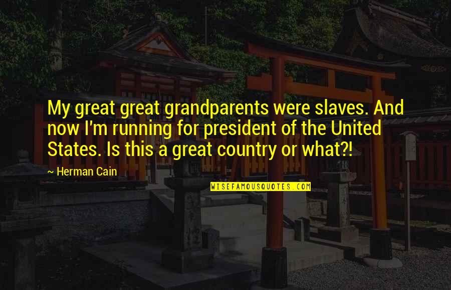 Moiseiwitsch Quotes By Herman Cain: My great great grandparents were slaves. And now