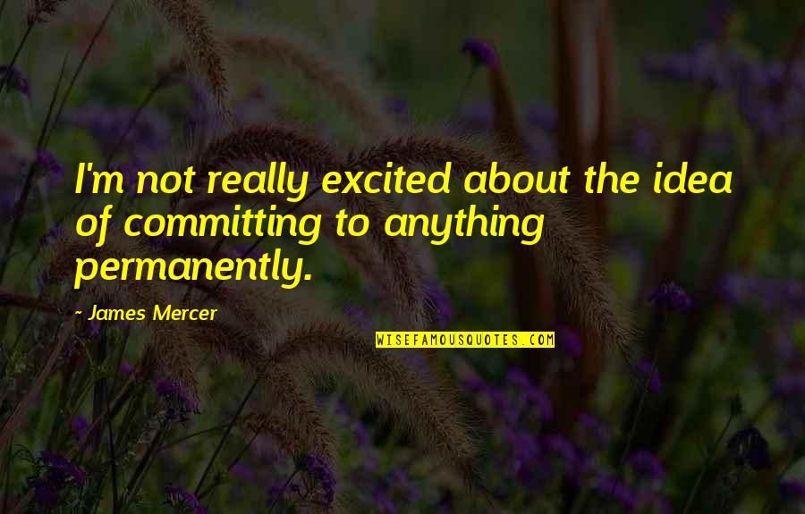 Moitra On Ranjan Quotes By James Mercer: I'm not really excited about the idea of