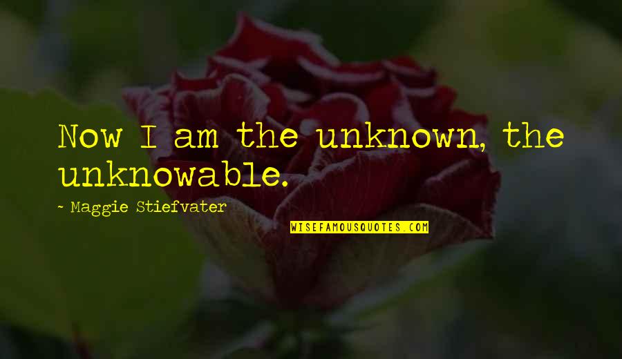 Mojera Quotes By Maggie Stiefvater: Now I am the unknown, the unknowable. Mojera Quotes By Maggie Stiefvater: Now I am the unknown, the unknowable.