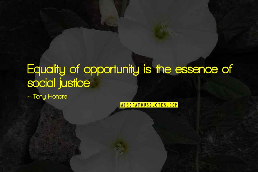 Mokhiber Agent Quotes By Tony Honore: Equality of opportunity is the essence of social