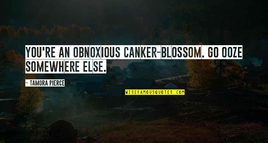 Molay Sauce Quotes By Tamora Pierce: You're an obnoxious canker-blossom. Go ooze somewhere else. Molay Sauce Quotes By Tamora Pierce: You're an obnoxious canker-blossom. Go ooze somewhere else.