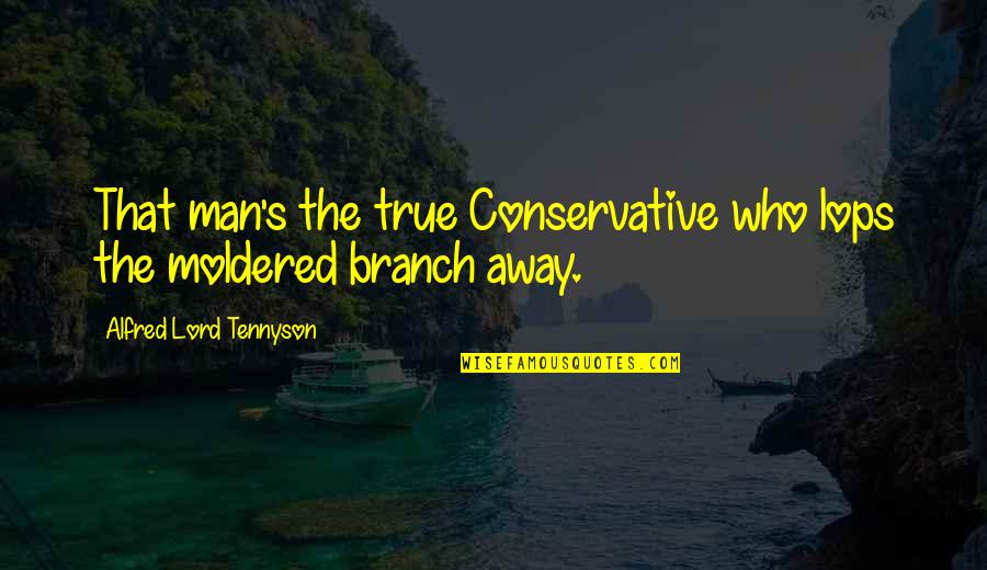 Moldered Quotes By Alfred Lord Tennyson: That man's the true Conservative who lops the Moldered Quotes By Alfred Lord Tennyson: That man's the true Conservative who lops the