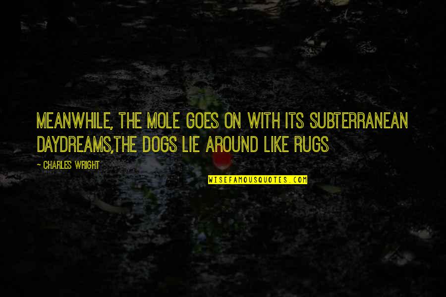 Mole Quotes By Charles Wright: Meanwhile, the mole goes on with its subterranean Mole Quotes By Charles Wright: Meanwhile, the mole goes on with its subterranean