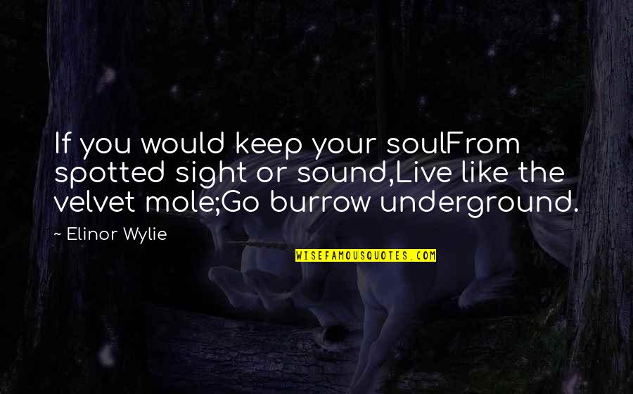 Mole Quotes By Elinor Wylie: If you would keep your soulFrom spotted sight
