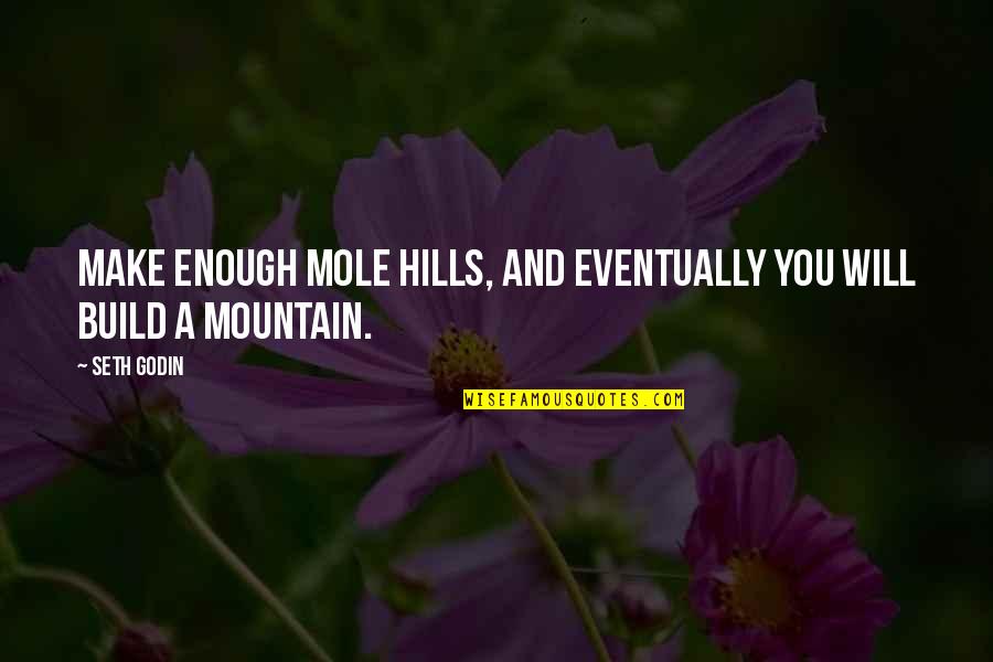 Mole Quotes By Seth Godin: Make enough mole hills, and eventually you will