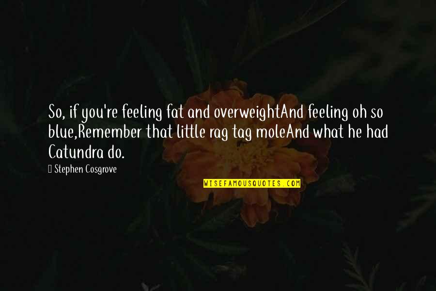 Mole Quotes By Stephen Cosgrove: So, if you're feeling fat and overweightAnd feeling