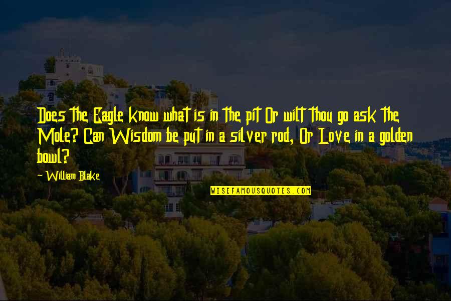 Mole Quotes By William Blake: Does the Eagle know what is in the