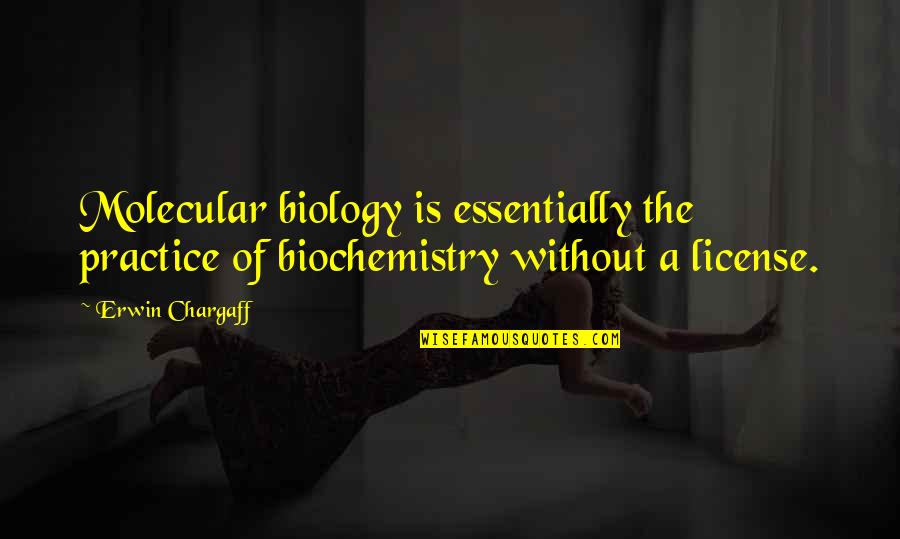 Molecular Quotes By Erwin Chargaff: Molecular biology is essentially the practice of biochemistry