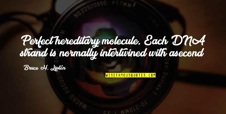 Molecule Quotes By Bruce H. Lipton: Perfect hereditary molecule. Each DNA strand is normally