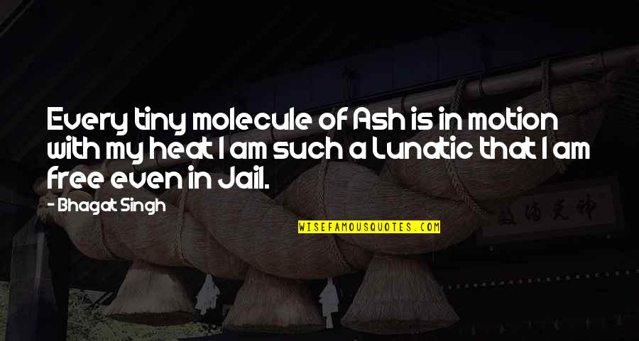 Molecules Quotes By Bhagat Singh: Every tiny molecule of Ash is in motion