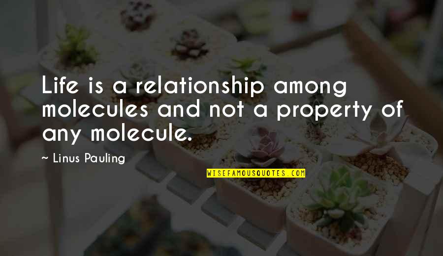 Molecules Quotes By Linus Pauling: Life is a relationship among molecules and not