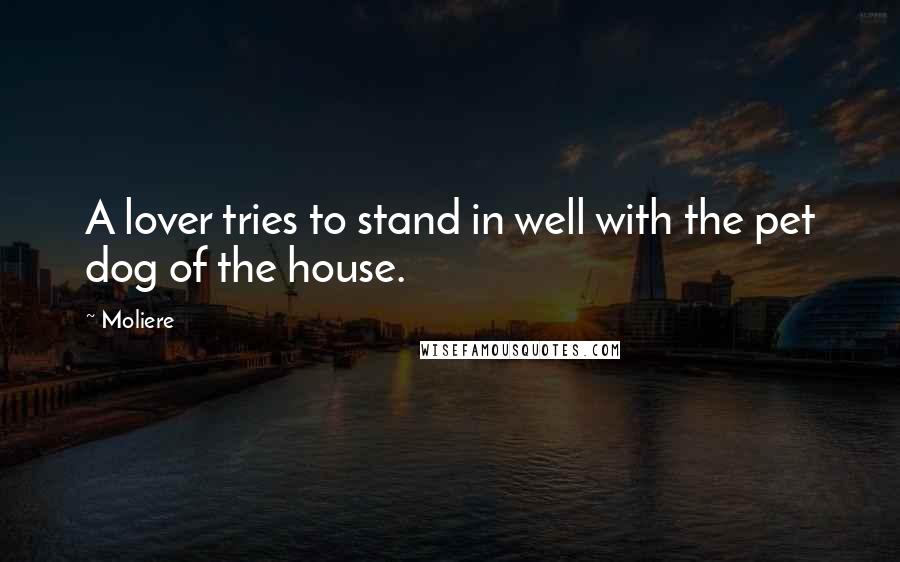 Moliere quotes: A lover tries to stand in well with the pet dog of the house.