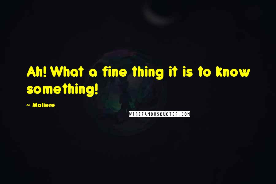 Moliere quotes: Ah! What a fine thing it is to know something!