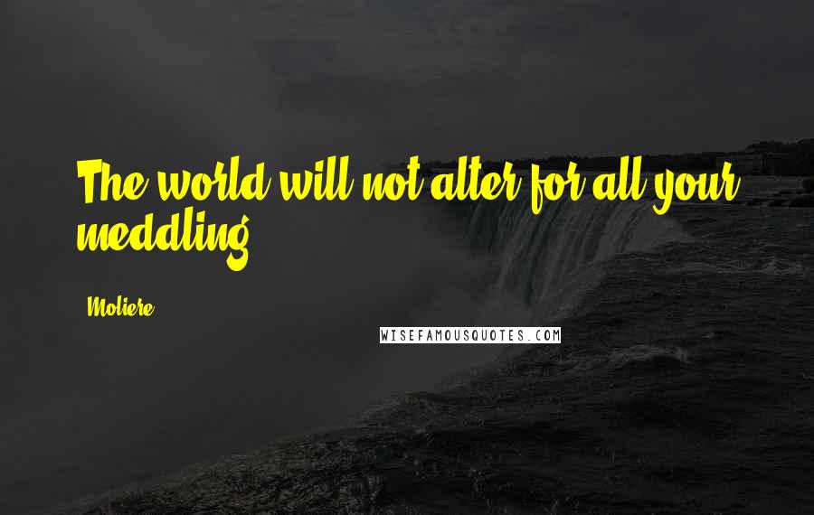 Moliere quotes: The world will not alter for all your meddling.