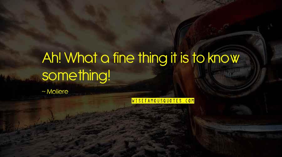 Moliere Quotes By Moliere: Ah! What a fine thing it is to