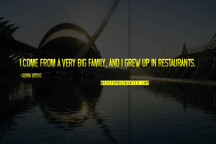 Molinsky Jewish Quotes By Gloria Votsis: I come from a very big family, and