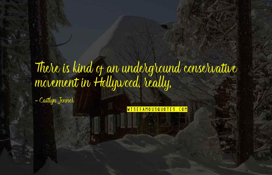 Mollicone Opera Quotes By Caitlyn Jenner: There is kind of an underground conservative movement