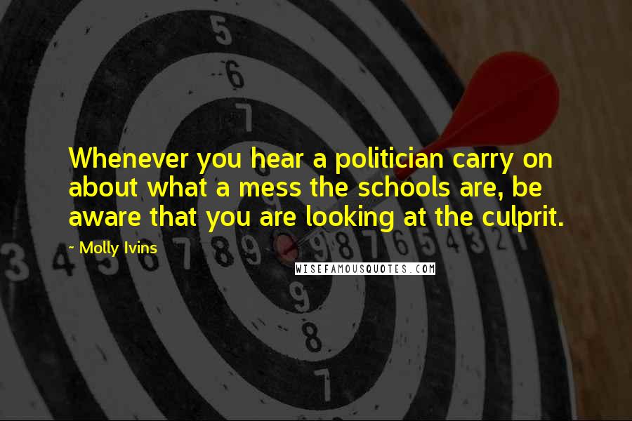 Molly Ivins quotes: Whenever you hear a politician carry on about what a mess the schools are, be aware that you are looking at the culprit.