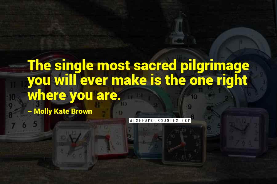 Molly Kate Brown quotes: The single most sacred pilgrimage you will ever make is the one right where you are.
