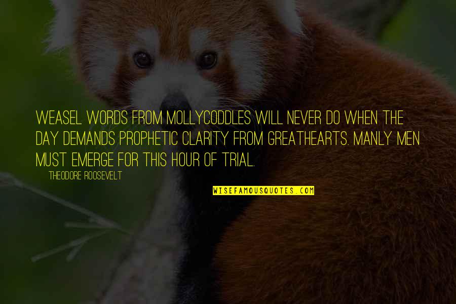 Mollycoddles Quotes By Theodore Roosevelt: Weasel words from mollycoddles will never do when